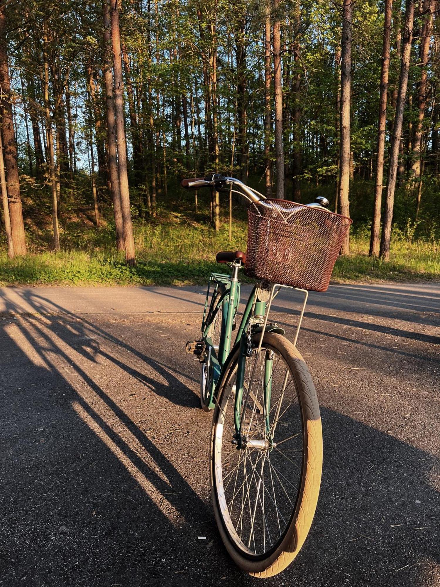 Mana Sleep & Spa Druskininkai Exterior photo Bicycle with a front carrier